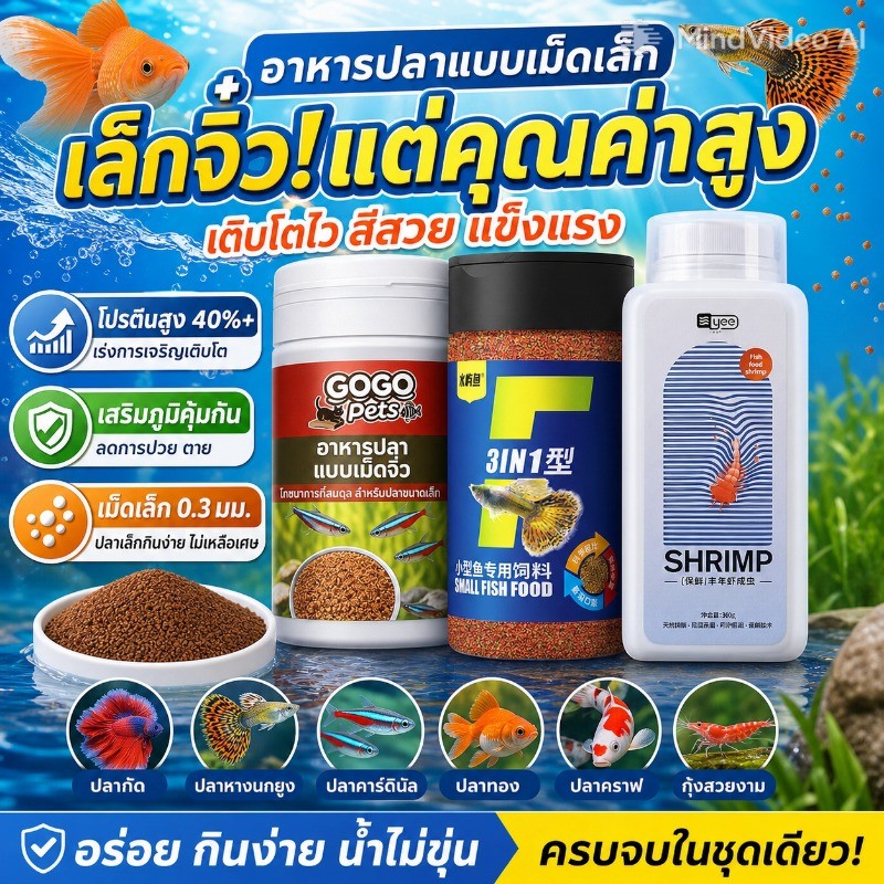 เตรียมจัดส่ง อาหารปลาหางนกยูง โปรตีนสูงอุดมด้วยวิตามิน ช่วยให้ปลาเติบโตอย่างมีประสิทธิภาพสีสันสวยงาม