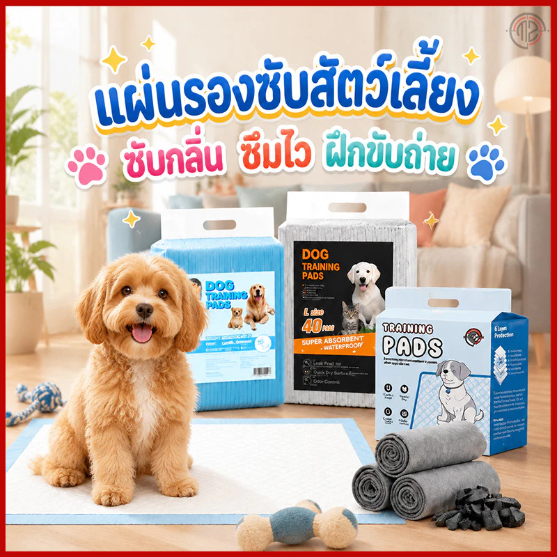 แผ่นรองปัสสาวะสัตว์เลี้ยงถ่านชาร์โคล หนา 6 ชั้น ซึมซับของเหลวรวดเร็ว ต้านแบคทีเรีย ดับกลิ่นเหม็น