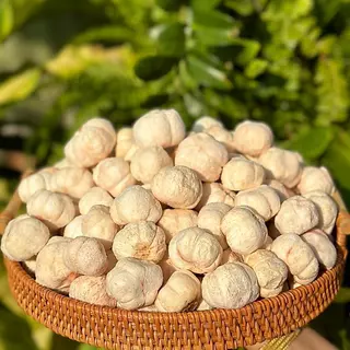 มังคุดฟรีซดราย มังคุดคัด มังคุดกรอบ เปรี้ยวหวานกรอบฟู มี2ไซต์ให้เลือก (น้ำหนักรวมแพคเพจ) ตุ๊กกี้ตัวแสบ