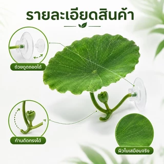 ตก แต่งตู้ปลา ใบบัวจำลอง ปล่อยให้ปลาได้พัก การวางไข่ หญ้าจำลอง ทำให้ตู้ปลาสวยขึ้น