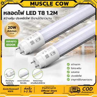 หลอดไฟนีออน LED T8 1.2 เมตร 20W แสงสีขาว สว่างชัด ประหยัดพลังงาน ห้องนอน สำนักงาน ออฟฟิต（1หลอด）