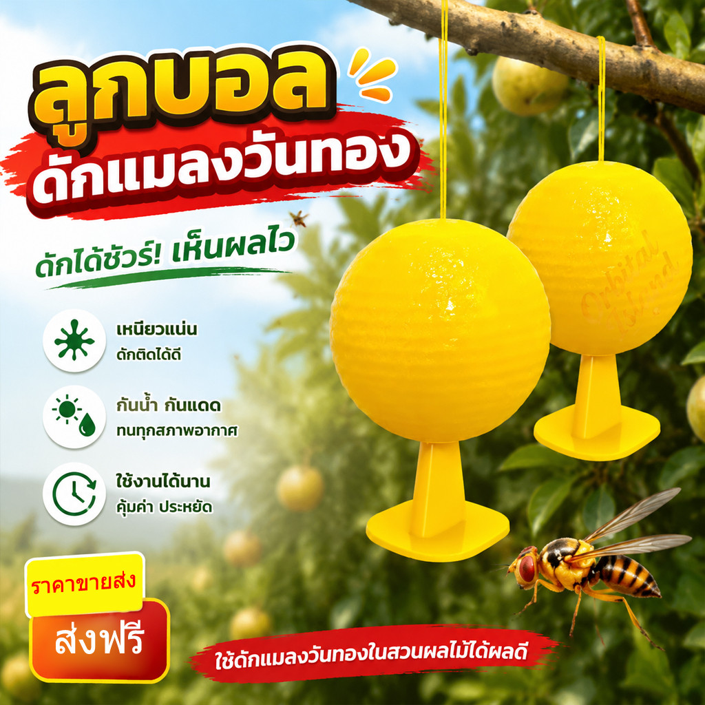 ลูกบอลล่อดักแมลง กาวกับดักแมลงวัน ผึ้งผลไม้ แบบเหนียว สำหรับสวนผลไม้ จัดส่งจากประเทศไทย