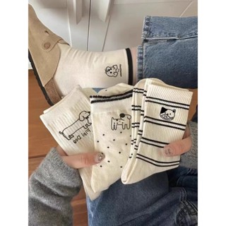 ถุงเท้าแฟชั่น ลูกสุนัขข้อยาว สไตส์ญี่ปุ่น ถุงเท้าผู้หญิง