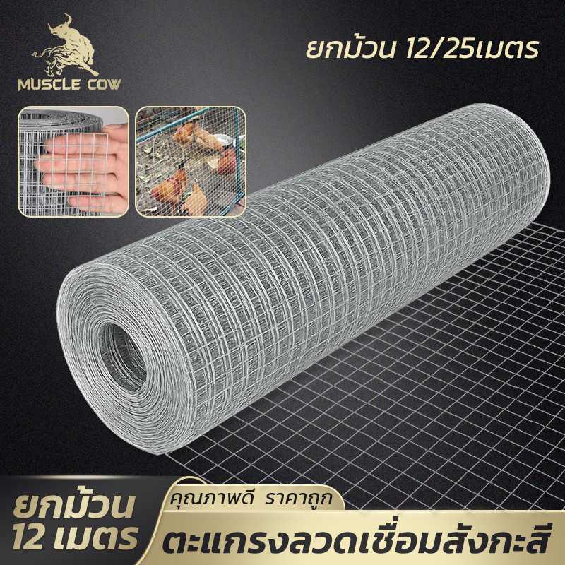 MUSCLE COW ตาข่ายลวดเหล็กชุบสังกะสี ยกม้วน 12/25 เมตร เชื่อมแน่น แข็งแรง ใช้งานได้หลากหลาย ทำกรงไก่ ล้อมพื้นที่
