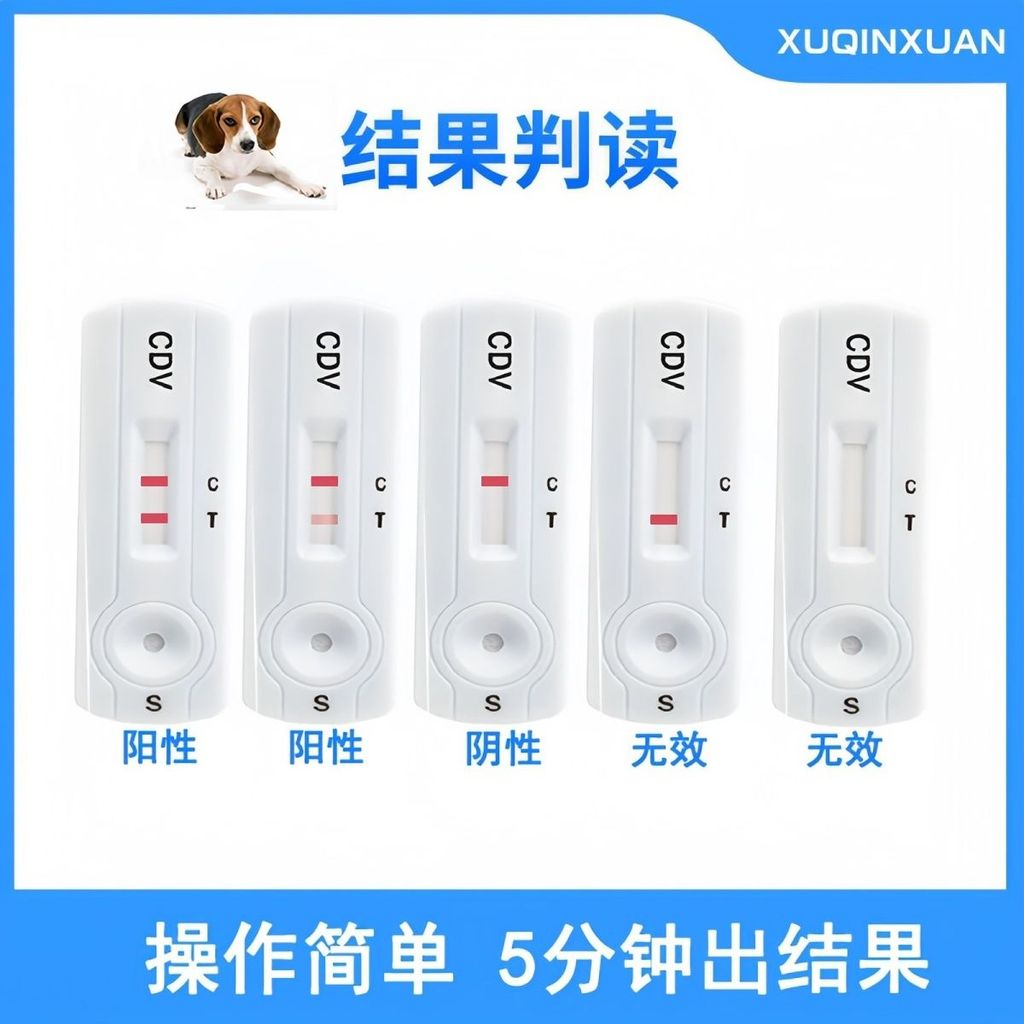 细小冠 บัมเอร์动纸.数据类型犬秋冬天然植物型便携式桌纸三合一体 ขนาดเล็ก canine diter crown กระดาษทดสอบ Rabies Toxoplasma gondii