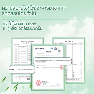 【8 ห่อ】Royo Panda กระดาษเช็ดครัวแบบติดผนังถอดได้ ซึมซับน้ำมันและน้ำได้ดี 2 ชั้น 400 แผ่น 230*195มม