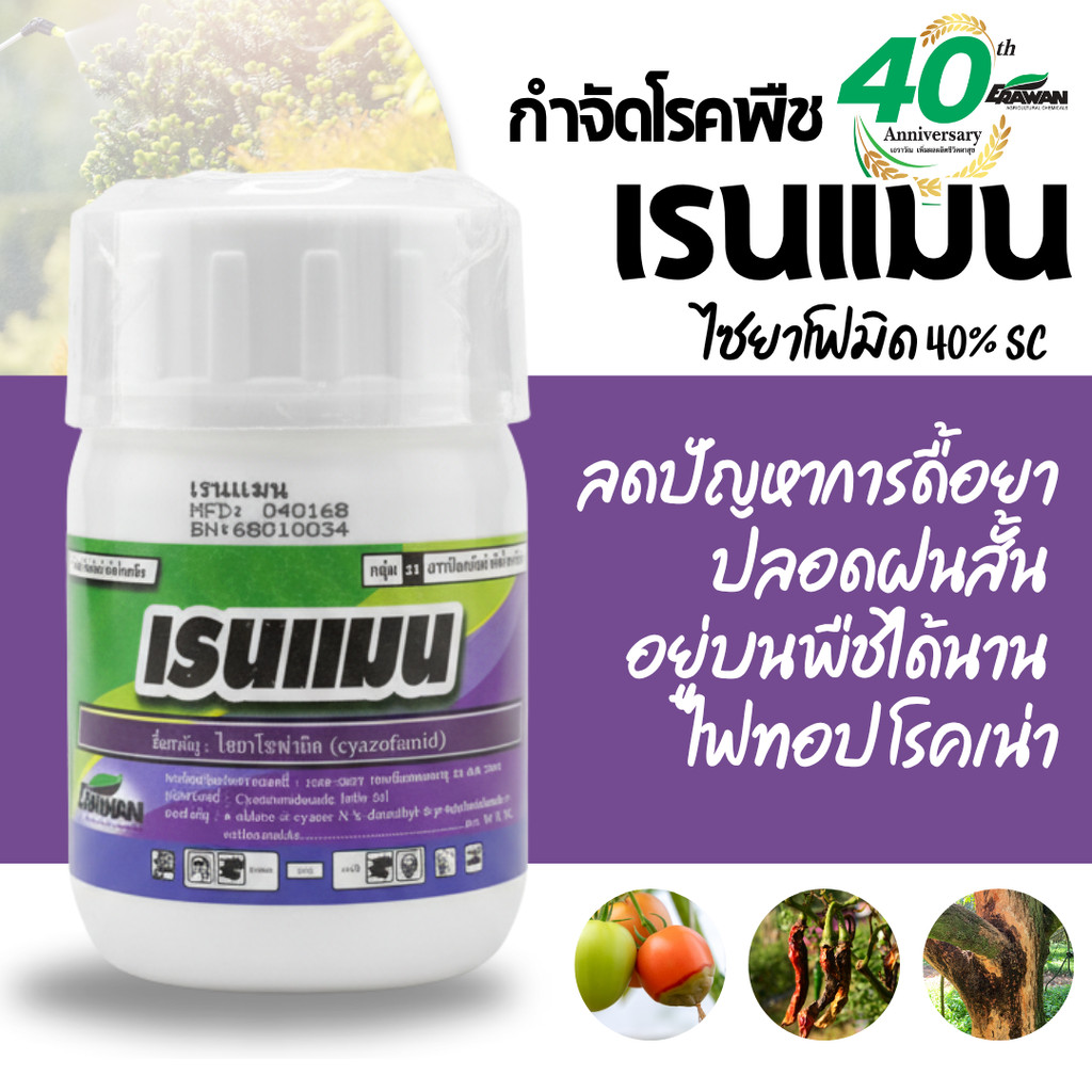 [100cc][Elefante] เรนแมน ไซยาโนามิด(Cyanofamid) สารป้องกันกำจัดเชื้อรากลุ่มใหม่ ราน้ำค้าง ไฟทอปเทอร่า 100ซีซี