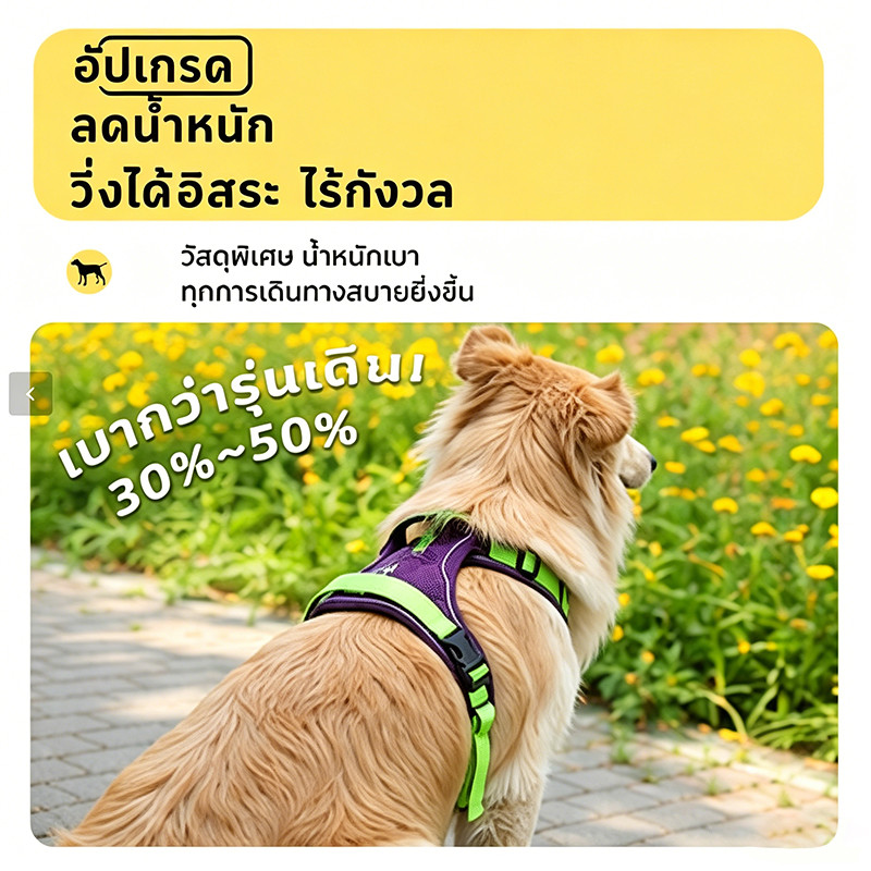 สายรัดอกสุนัข V-Shape กดใส่-ถอด 3วิ ไม่บีบคอ ระบายร้อน รูปที่ 4