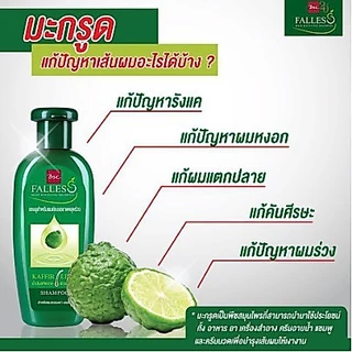 FALLES แชมพู ฟอลเลส สูตรผมแข็งแรงสุขภาพดี 300ml. 1 ขวด เขียวเข้ม