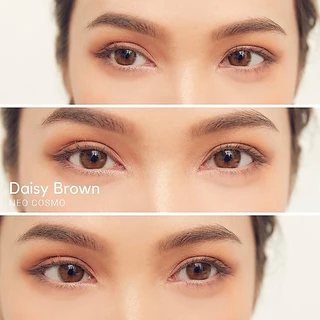 คอนแทคเลนส์ Daisy Brown (Neo Cosmo) เดซี่ สีน้ำตาล โตเล็กน้อย สวยสไตล์ญี่ปุ่น มีส่งด่วนใน กทม.