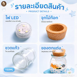 มาริโมะ ชุดขวดเลี้ยง สาหร่ายน้ำ ขวดพลาสติก ของขวัญนำโชค แต่งโต๊ะ ตู้ปลา พืชน้ำ มินิมอล