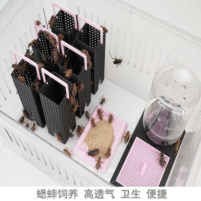 蟋蟀饲养箱盒饮水昆虫喂水食盆油葫芦躲避杜比亚饲养架用具用品7.15 กล่องเพาะพันธุ์จิ้งหรีด, ที่ให้น้ำ, ชามให้อาหารแมลง, ที่ซ่อนตัวสำห