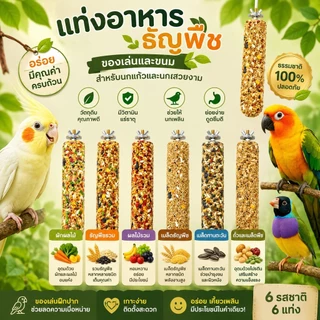 Parrot.thailand แท่งธัญพืชแท้ 100% ขนมลับฟันเสริมวิตามิน สำหรับนก แฮมสเตอร์ และชูการ์ไกลเดอร์