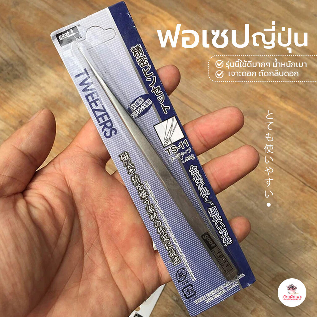 ฟอเซปญี่ปุ่น Forcep ฟอเซป ปากคีบ อุปกรณ์ช่วยปลูกต้นไม้ แคคตัส กระบองเพชร cactus&succulent