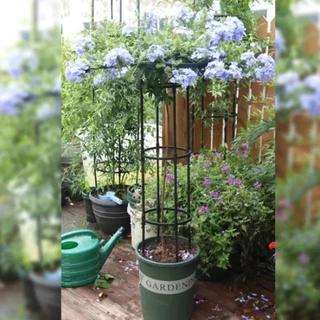 （ราคาขายส่ง）95cm/145cm*28cm ซุ้มกุหลาบ ซุ้มกุหลาบเลื้อย โครงกุหลาบเลื้อย ซุ้มไม้เลื้อย เหล็กแข็งแรง ท่อเหล็กเคลือบ PE