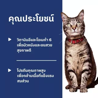 Hill's Science Diet อาหารแมว อายุ 1-6 ปี ขนาด 4 กก.