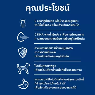 Hill's Science Diet Puppy อาหารลูกสุนัข หรือแม่สุนัขตั้งท้อง/ให้นม ขนาด 3 กก.