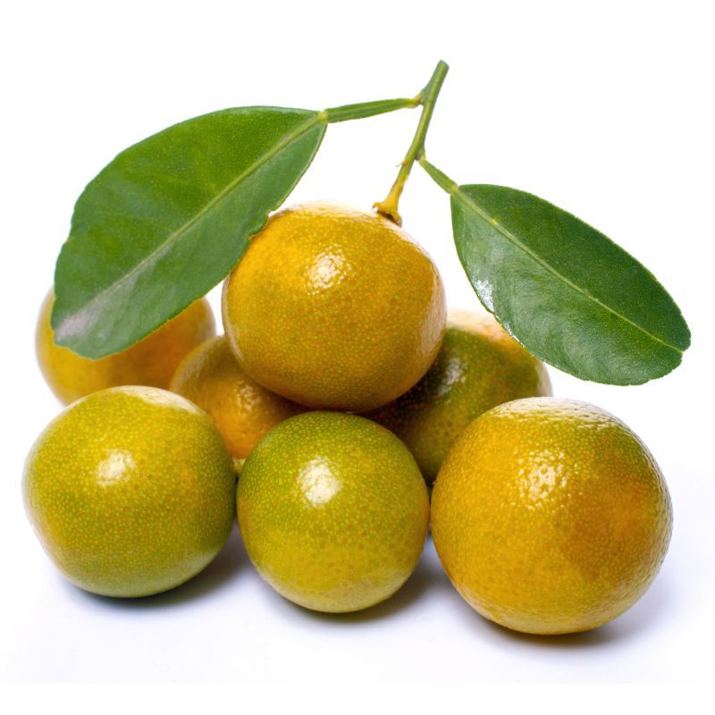 ส้มเขียวหวานแพค Tangerine Pack [หมายเลขบาร์โค้ด 0000048191470 ] สินค้าคุณภาพดี คัดสรรด้วยความใส่ใจ
