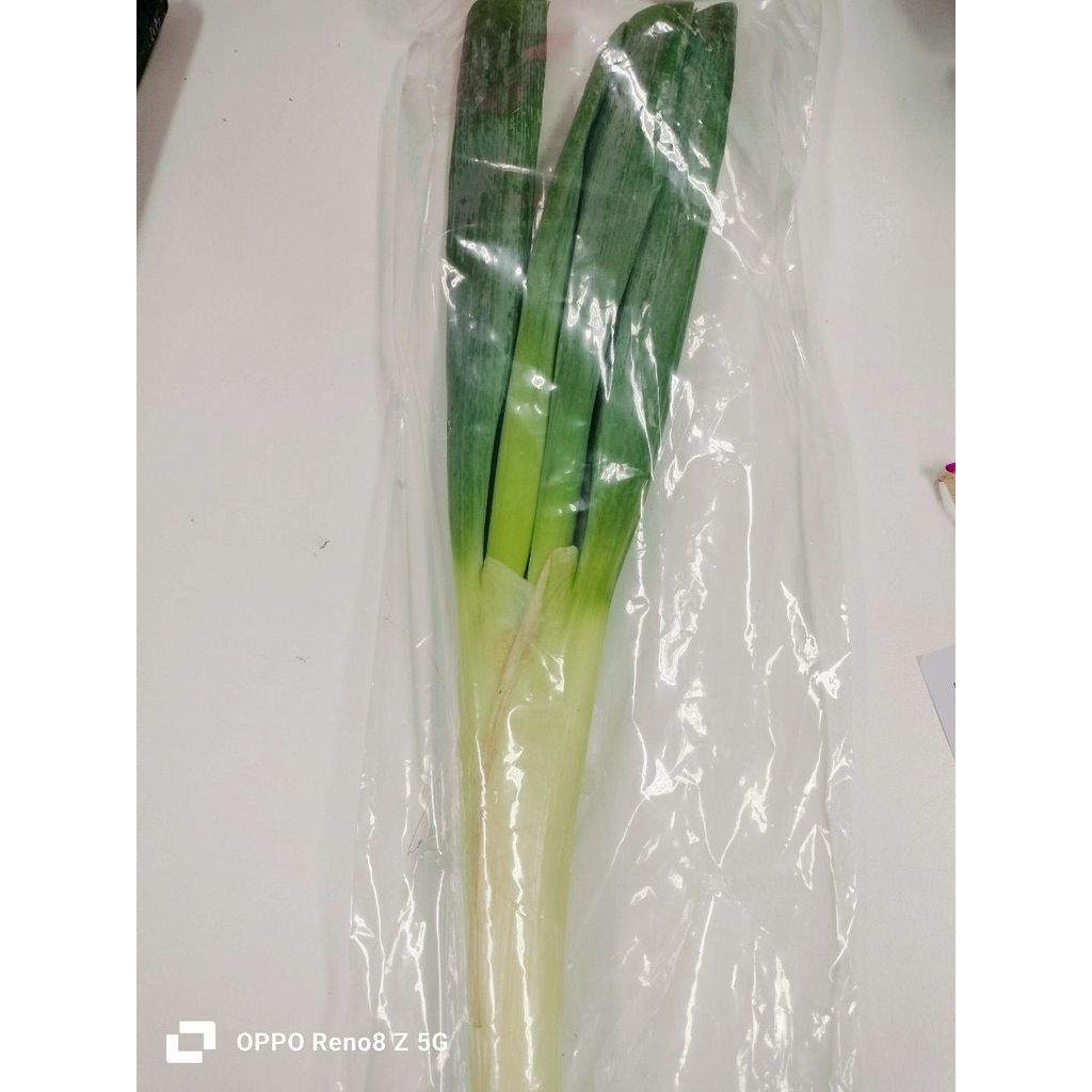 เติมครัวต้นหอมญี่ปุ่น 150กรัม Term Krua Japan Spring Onion 150g.
