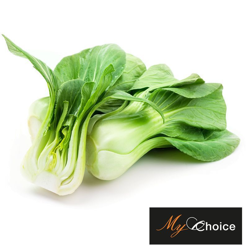 มายช้อยส์กวางตุ้งไต้หวันเกรดพิเศษ My Choice Bok Choy Special