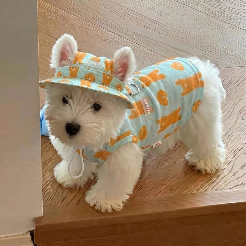Dog Summer Suit Breathable Thin Teddy West Highland Bichon Pomeranian Sun Protection Pet Summer Vest