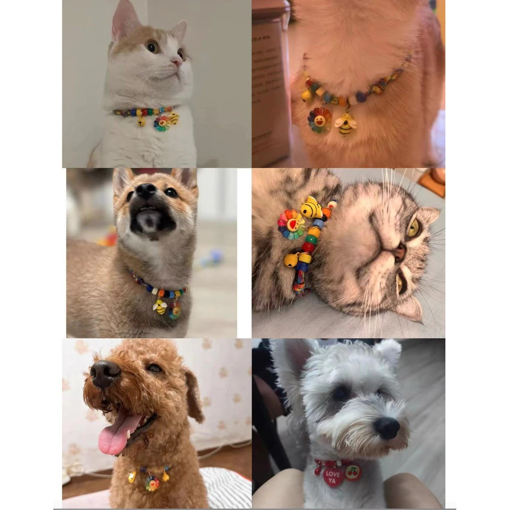 รูปภาพ 5