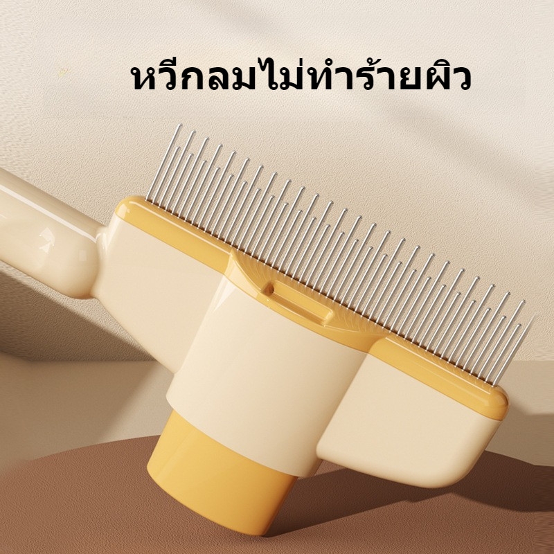 รูปภาพ 8