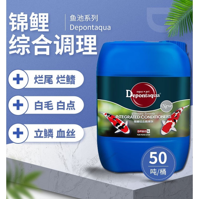 Dayu Debon Nitrifying Bacteria Algaecide Water Stabilizer เครื่องกรองน้ํา Water Clearing Agent Dechl