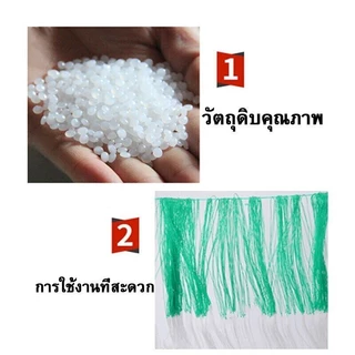 OilStarsางปลูกผัก ค้างผัก2*100mตาข่ายปลูกผัก โครงไม้เลื้อย ค้างไม้เลื้อย ตะข่ายไนลอน ต้นไม้เลื้อยอวนแตง ตาข่ายปลูกแตงกวา