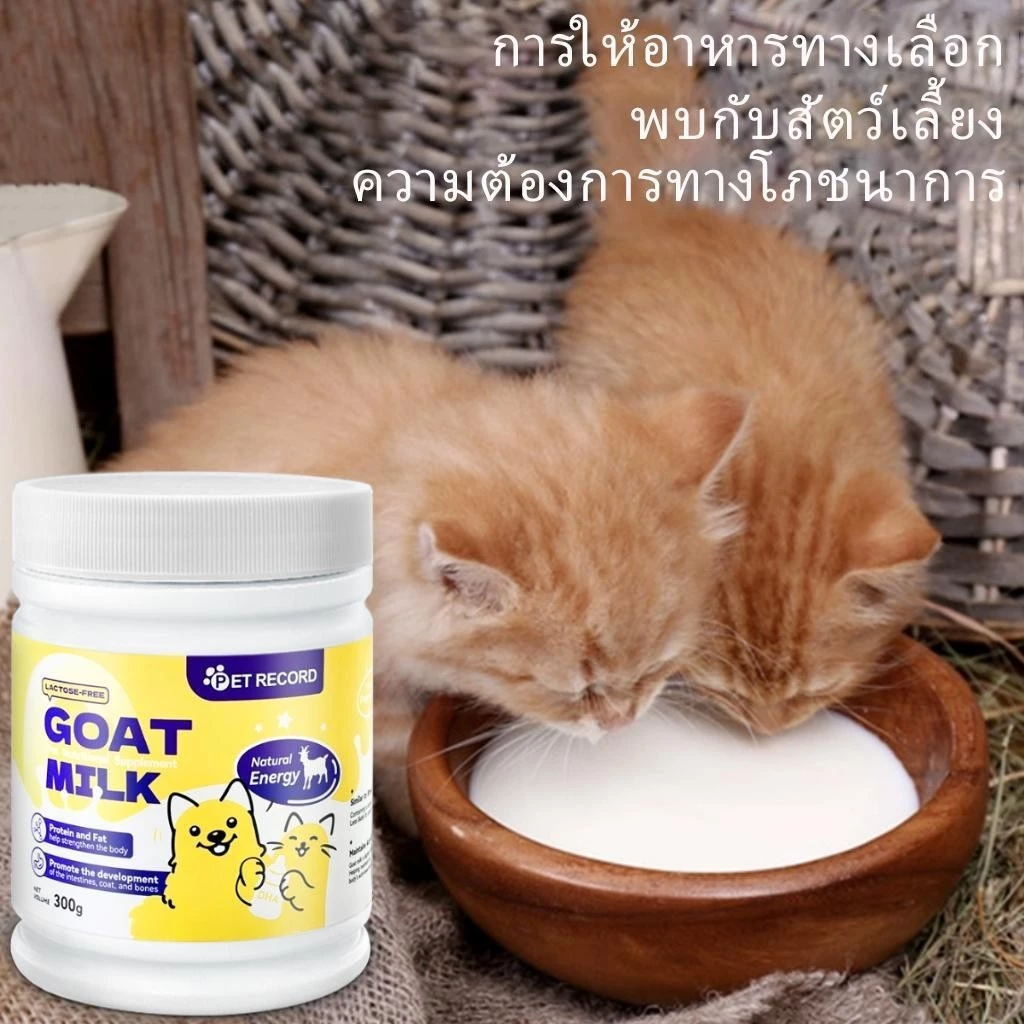 นมแพะผงสัตว์เลี้ยง 300g แมว-สุนัข โปรตีนสูง ย่อยง่าย thumbnail 6