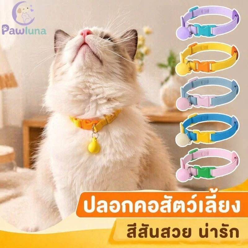 ปลอกคอสัตว์เลี้ยงปรับนุ่มยืดหยุ่นพาสเทลแมวสุนัขปลอกคอน้ําหนักเบาสบายหลายสี
