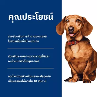 [เซตสุดคุ้ม] Hill's Science Diet Perfect Weight อาหารสุนัขพันธุ์เล็ก 1-6 ปี สูตรลดและควบคุมน้ำหนัก ขนาด 5.7 กก. (2 ถุง)