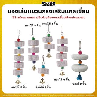 แคลเซี่ยมแขวนกรง ใช้สำหรับแขวนกรง เสริมด้วยก้อนแคลเซี่ยมให้น…