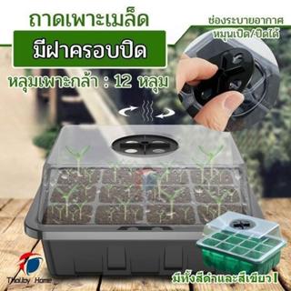 พร้อมส่งด่วน！ชุดถาดเพาะเมล็ด กล่องเพาะเมล็ด กล่องเพาะกล้า ถา…