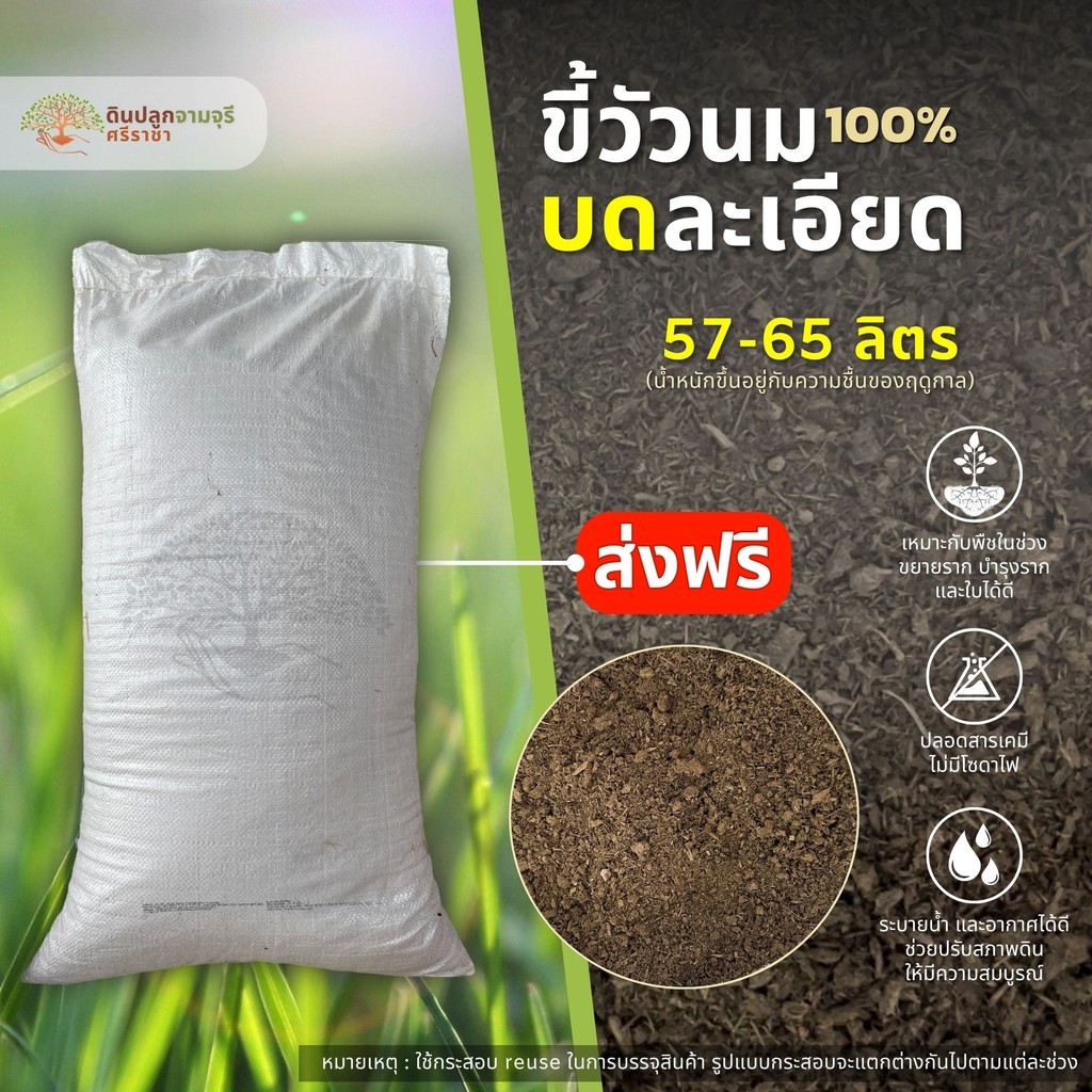 ขี้วัวนมบดละเอียด 1 กระสอบ (57-65 ลิตร) ปุ๋ยคอก มูลวัว