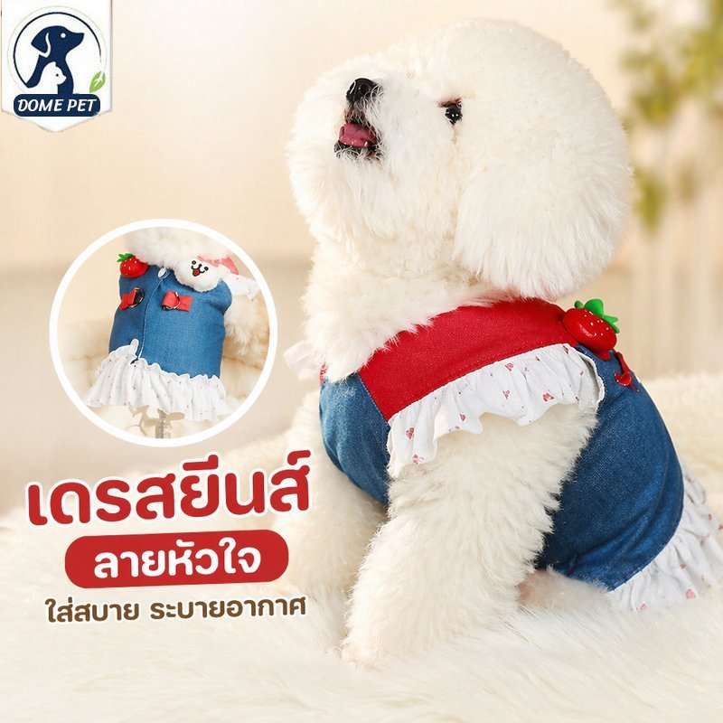 ชุดเดรสสุนัข แมว ผ้ายีนส์ ลายดอกไม้ ซับตาข่าย ระบายอากาศ มีห่วงคล้องสายจูง ใส่หน้าร้อน