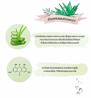 อาร่า เจลว่านหางจระเข้ 300g เนื้อเจล ชุ่มชื่น สินค้าขายดี ARA Aloe Vera Soothing & Moisture Gel