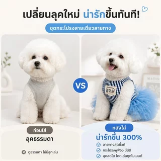 ชุดแมวเจ้าหญิง เสื้อหมา เสื้อแมว ชุดฤดูร้อน ลายทางสไตล์เกาหลี สายเดี่ยวตาข่าย สำหรับหมาแมว แฟชั่น น่ารัก