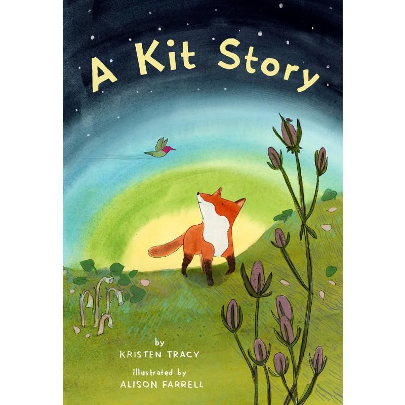 A Kit Story Cat Story English Original Childrens Cardboard Book Alison Farrell Book