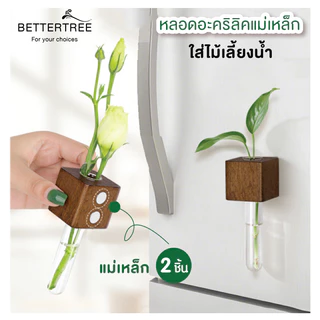 หลอดอะคิลิคแม่เหล็ก แจกัน ของตกแต่งบ้าน