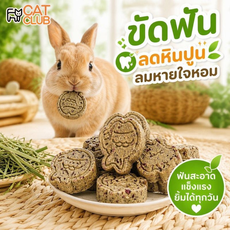 ขนมเคี้ยวฟัน กระต่าย ชินชิลล่า หนูตะเภา เค้กหญ้า สมุนไพร เบอร์รี่ พรีไบโอติก ขนมสัตว์เลี้ยง
