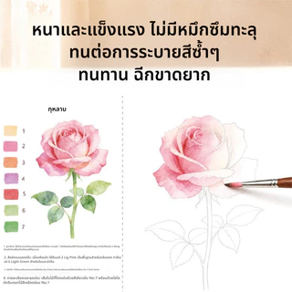 การ์ดฝึกร่างลายดอกไม้สีน้ํา 8 ชิ้น | กระดาษหนา 300ก เหมาะสําหรับผู้เริ่มต้น | ออกแบบหูง่ายสามารถติดตั้งได้ | หนังสือ แบบฝึกหัดวาดภาพสีน้ํา