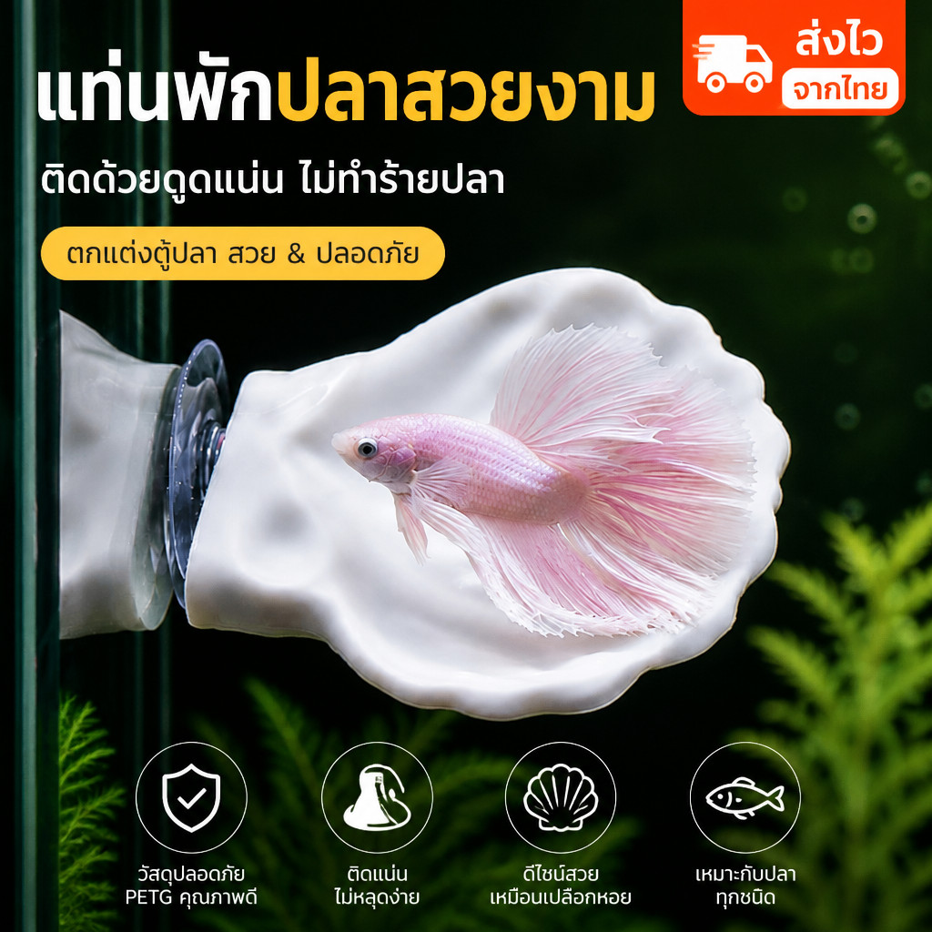 ตกแต่งตู้ปลา ปล่อยให้ปลาได้พัก การวางไข่ หญ้าจำลอง ทำให้ตู้ปลาสวยขึ้น เปลือกหอยจำลอง บ้านปลา