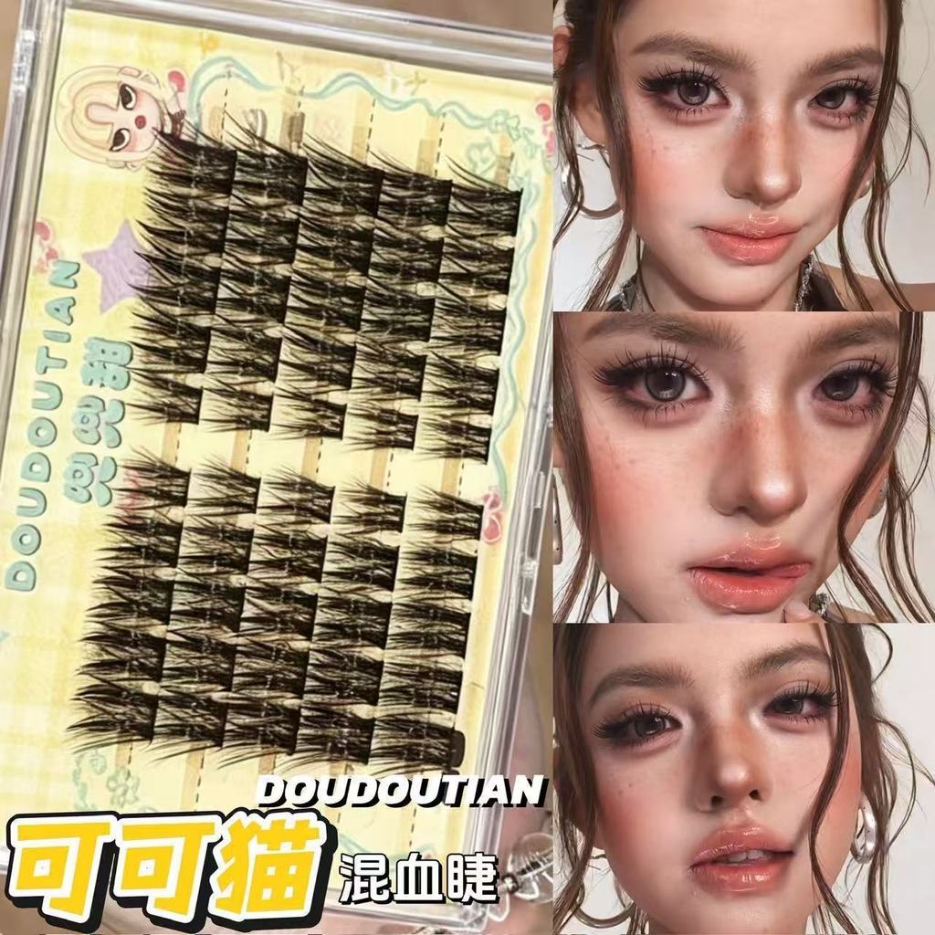 Soft Glam Brown ขนตาปลอม Asian Beauty Cat Eye Lash Extension Effect