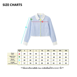 เสื้อเชิ้ตครอป ลายริ้วฟ้าขาว S-5XL ปกบัวมน ชายเสื้อแต่งลูกไม้ฉลุ สไตล์เกาหลี มินิมอลใส่เที่ยวคาเฟ่