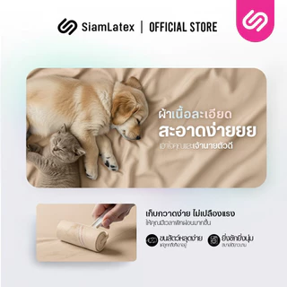SiamLatex ชุดเครื่องนอน Glada Sand Peach ผ้าปูที่นอน นุ่มเย็น กันไรฝุ่น ไม่ติดขนสัตว์ 3.5/5/6 ฟุต