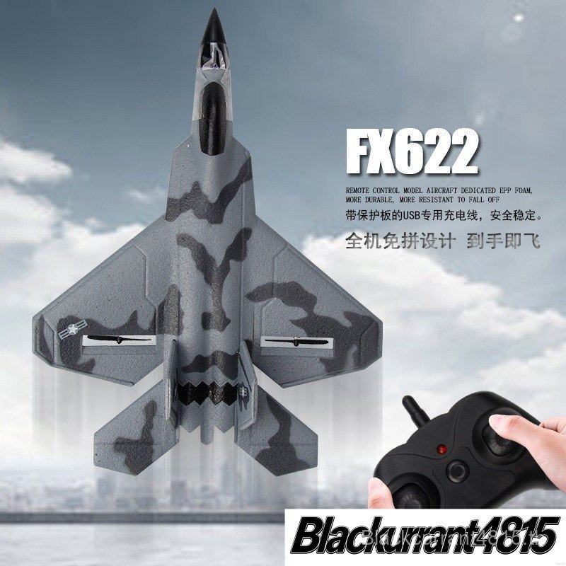 FX622 2.4ghz Mini Fixed Wing รีโมทคอนโทรล RC เครื่องบิน F22 Fighter Plane ของเล่น Rc Glider Plane สํ