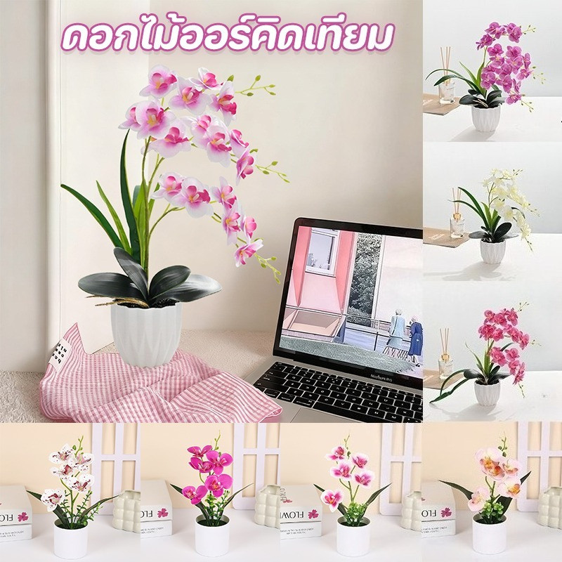 ดอกไม้ประดิษฐ์ ต้นฟาแลนนอปซิสเทียม กระถางเล็ก สวยทนทาน ไม่ต้องรดน้ำ บ้าน/สำนักงาน/ร้านค้า ดอกไม้ตกแต่ง