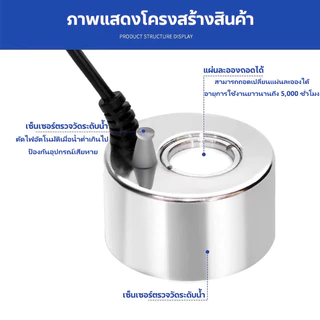 เครื่องสร้างควัน Mist Maker เครื่องทำหมอก พร้อมไฟ LED อะแดปเตอร์ ระบบตัดไฟอัตโนมัติ สำหรับน้ำพุฮวงจุ้ย บ่อปลา ตกแต่งสวน