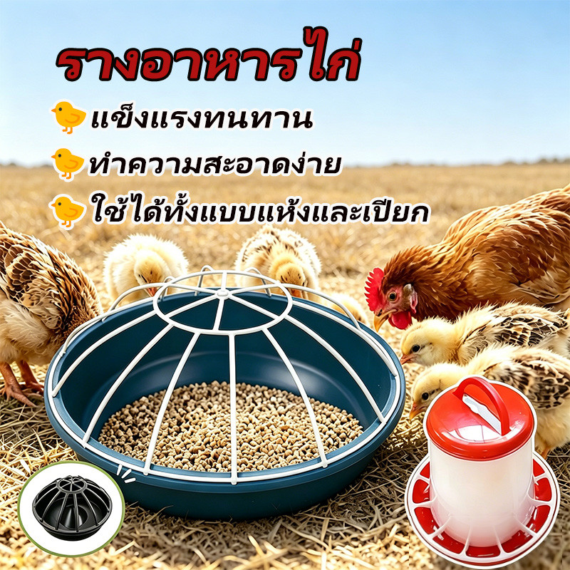 รางอาหารไก่ 40/50/60 ซม. เครื่องให้อาหารไก่ กันหก กันพลิก กรวยหนา แข็งแรง การเลี้ยงไก่แบบปล่อย อุปกรณ์เลี้ยงไก่